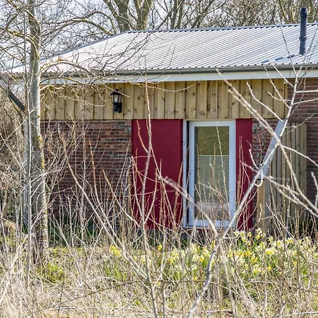 Deichgraf 1 * Friedrichskoog