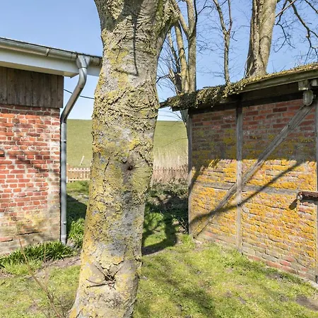 Deichgraf 1